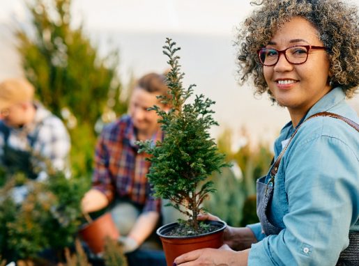 Baltimore-Bookkeeping-Services-for-Landscapers