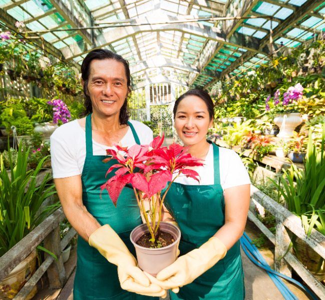 Bookkeepers for Landscapers in Baltimore Maryland Bookkeeping-for-Landscapers-inBaltimore-Maryland